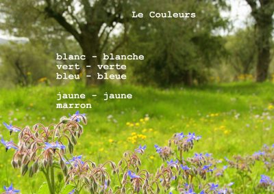Französisch in 5 TAGEN - Farben - Adjektive SprachenGalerie