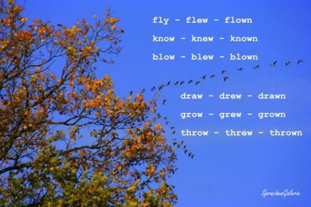 Learnpic-irr-verbs-fly-Linum-small
