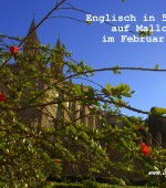 Mallorca-Feb-2016-Englisch-lernen-in-5-Tagen-SprachenGalerie-150×170