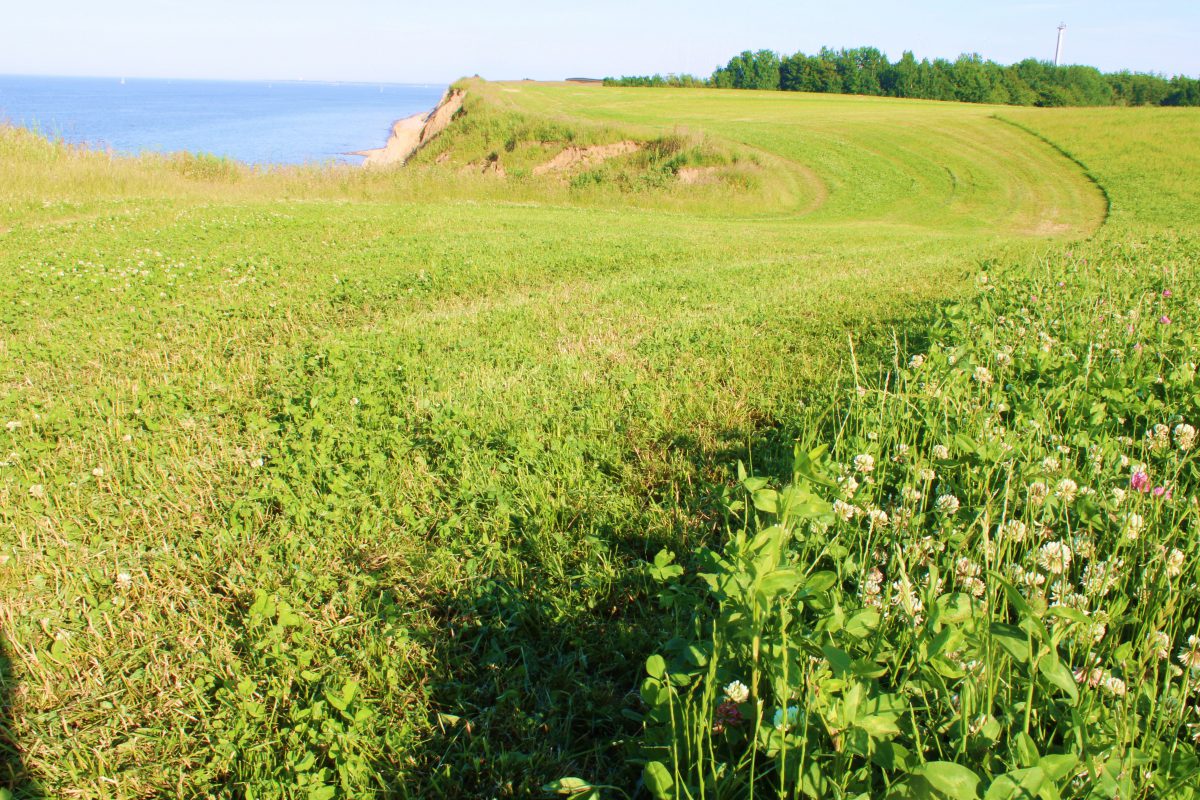 neben der Steilkueste Ostsee SprachenGalerie