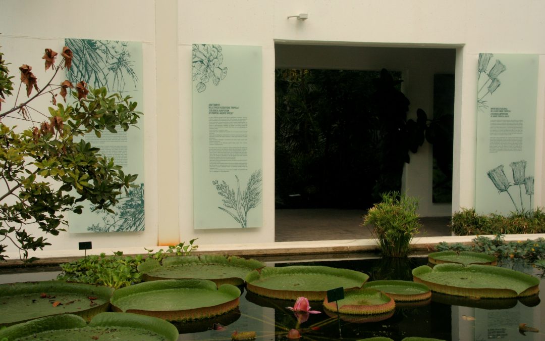 English Coaching Pharmazie SprachenGalerie mit Silke Dimitriw im ältesten Botanischen Garten in Padua