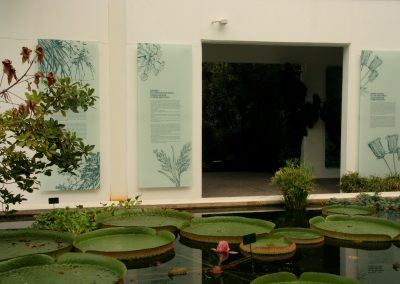Medical English Coaching SprachenGalerie mit Silke Dimitriw im ältesten Botanischen Garten in Padua