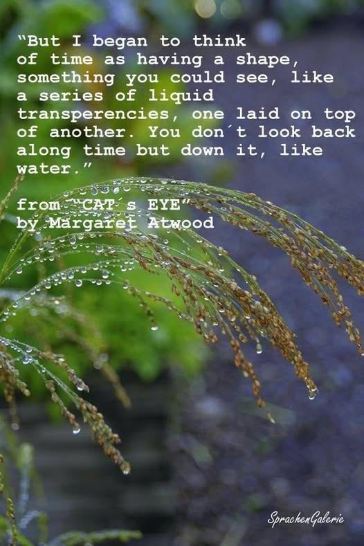 SprachenGalerie Time Text auf Foto: Wassertropfen an herunterhängender Blumenstiele: But I began to think of time as having a shape, something you could see, like a series of liquid transparancies, one laid on top of another. You do not look back along time but down it, like water. from CAT´s EYE by Margaret Atwood